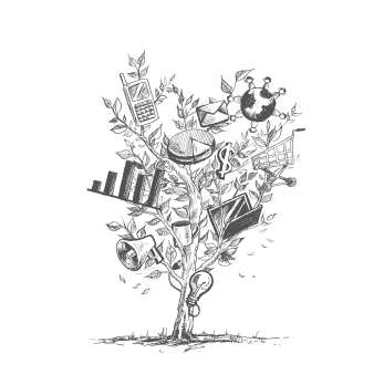 Consulting & Strategy